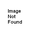 2008 Ego Paintball Gun