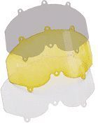 Scott Panorama Goggle Lens